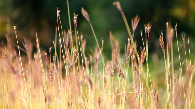 2026-2027年电影视频行业关键节点预测