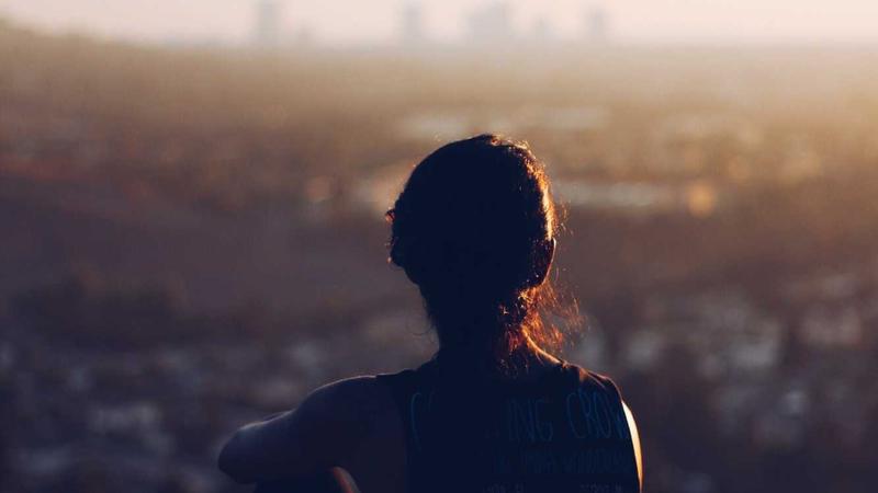 17c内容类型分布示意